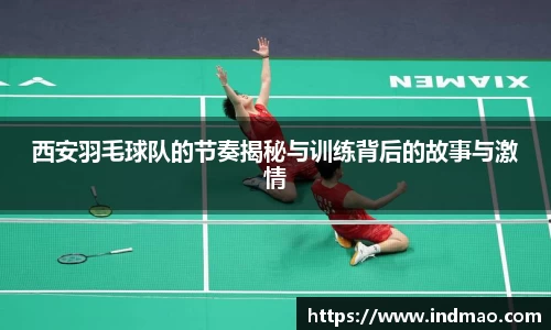 西安羽毛球队的节奏揭秘与训练背后的故事与激情