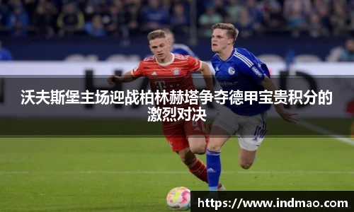 芒果体育登录入口